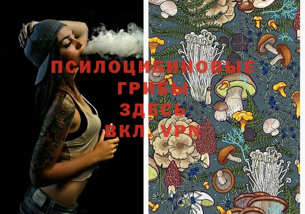 спиды Ростов