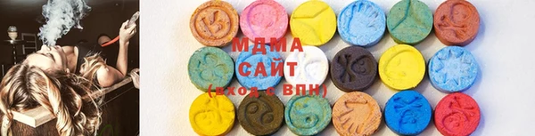 стаф Дубна