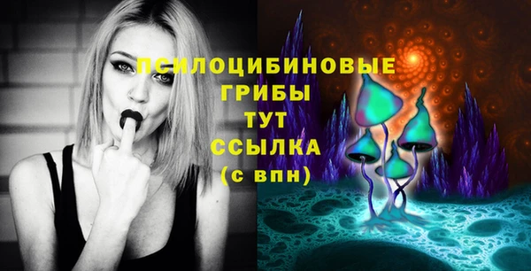 спиды Ростов