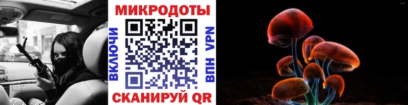 Псилоцибиновые грибы прущие грибы Стрежевой