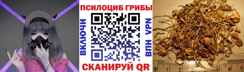 Псилоцибиновые грибы мухоморы Стрежевой