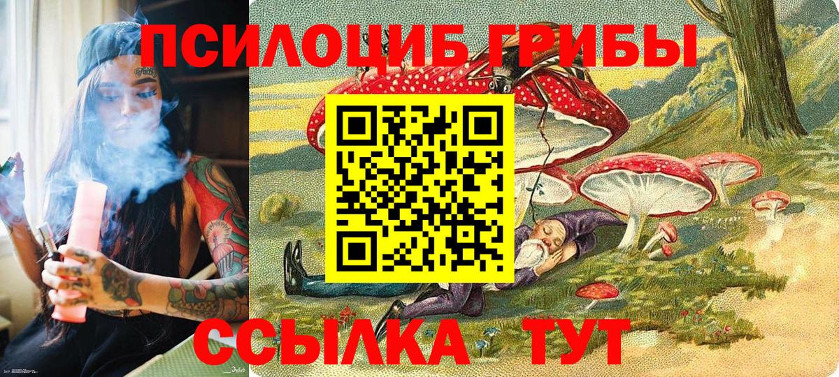 Псилоцибиновые грибы Psilocybine cubensis Стрежевой