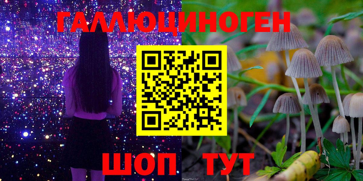 Галлюциногенные грибы мицелий  Вход с VPN  Галлюциногенные грибы Psilocybine cubensis  где купить   Стрежевой 