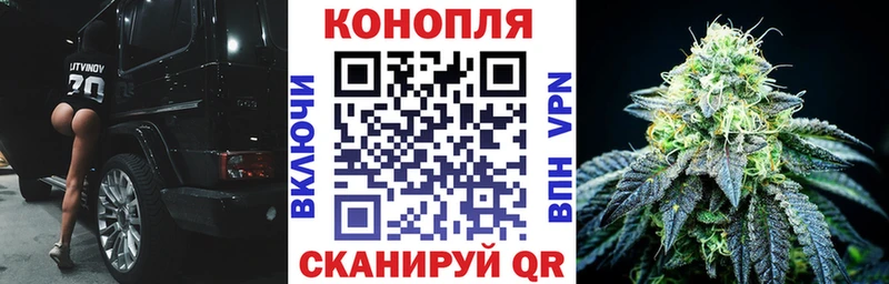 Бошки марихуана MAZAR  Стрежевой 